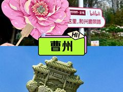 -曹州牡丹园