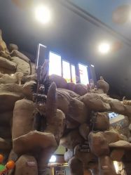 点击看大图 -卡通尼·Safari非洲探索乐园·生日会(金桥国际商业广场店)