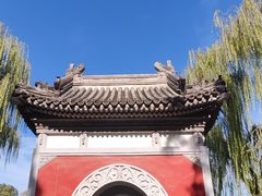 -北京大学