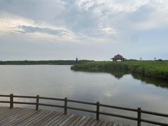 -宁波杭州湾国家湿地公园