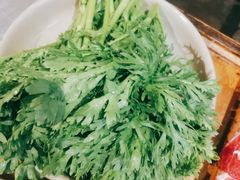 茼蒿-重庆渝达老火锅(春熙路店)