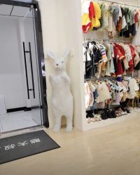 -憨大叔韩式儿童摄影(浦东新区店)