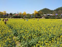 -红山村