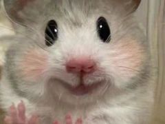 -Hey侦探沉浸式演绎剧场·剧本杀(步行街店)