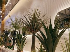 -兰湘子·湘菜小炒(崂山丽达店)