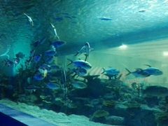 -常州海昌海洋探索馆