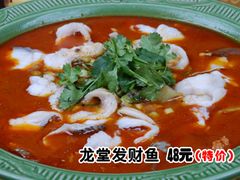 -火龙堂·风味民间菜(文一路店)
