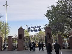 -桃花堤公园