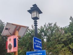 -白水寺森林公园
