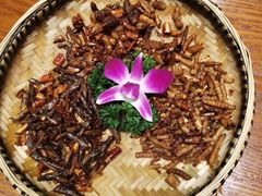 -老滇山寨•云南特色菜•地方菜•民族风情歌舞表演(金碧店)