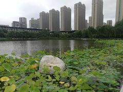 -木塔寺遗址生态公园