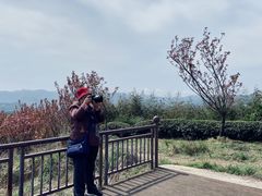 -四明山国家森林公园