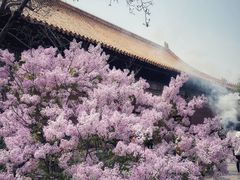 -雍和宫