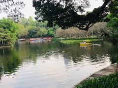 -晓港公园