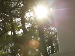 景观位-星巴克臻选(广州沙面店)