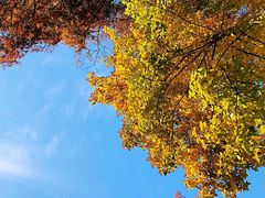 -杭州西湖风景名胜区-满觉陇四眼井