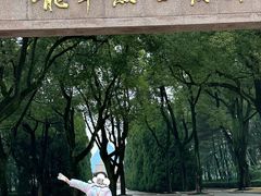 -上海市龙华烈士陵园