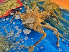 -囍上海鲜火锅酒家(兴宁路店)