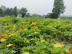 -东钱湖旅游度假区