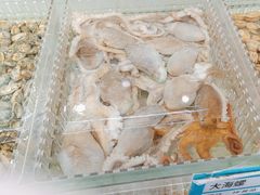 -山海经·海边人家 海鲜新青岛菜(扬州路店)