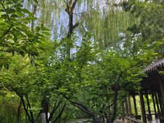 -趵突泉景区
