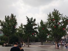 -大雁塔北广场音乐喷泉