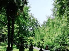 -扬州大运河文化旅游度假区·盆景园