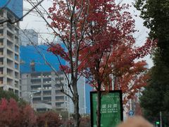 -85度C(苏州石路店)