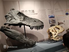 -自贡恐龙博物馆