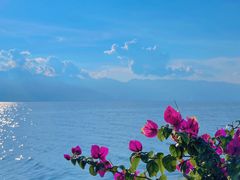 -大理洱海