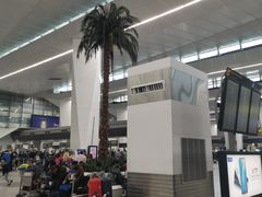 -英迪拉·甘地国际机场