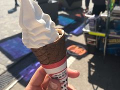 -富豪雪糕车流动点(尖沙咀)