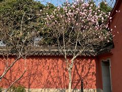 -孔庙学宫