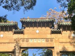 -灵谷景区