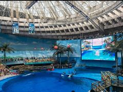 -海合安成都极地海洋公园