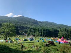-武陵山森林公园