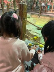 -酷嗒动物文化乐园(cutezoo西溪乐天城店)