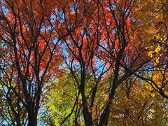 -叠溪松坪沟景区