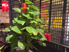 -红蜡烛-养生粥-津鲁菜(中山路店)