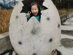 -洪湖悦兮半岛国际温泉度假村