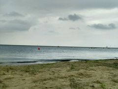 -碧海金沙