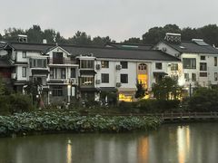 -朴墅(西湖青芝坞店·杭帮菜·家宴.14年的店)