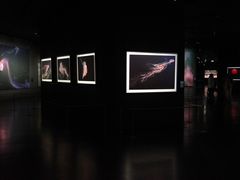 -罗红摄影艺术馆