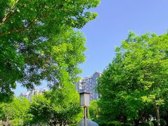 -唐城墙遗址公园