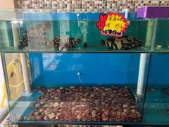 -港畔赶海蒸汽海鲜烧烤自助(仙螺岛店)