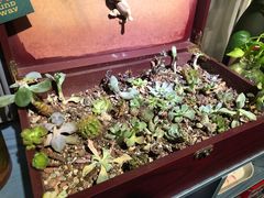 -吃饼人西餐(南开店)