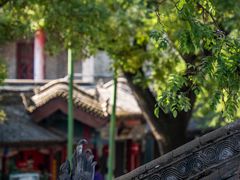 -关中书院