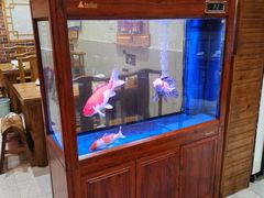 -东来菜馆•手抓海鲜家常菜•海鲜锅贴(鸽子窝店)