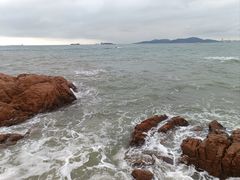 -第35届青岛国际啤酒节