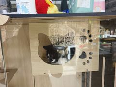 -T80科技文化国际社区-停车场